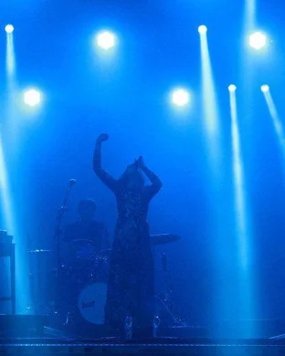 The New Pornographers