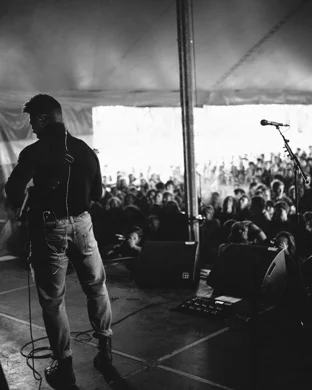 The New Pornographers