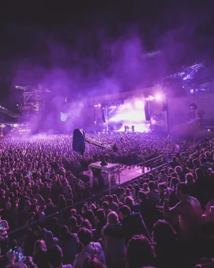 Live concert by LA Pysch Fest