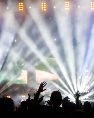 2026 LSU Tigers Football Season Tickets (Includes Tickets To All Regular Season Home Games)