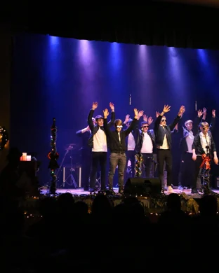 The New Pornographers