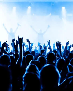 The Royal Scam - Tribute to Steely Dan