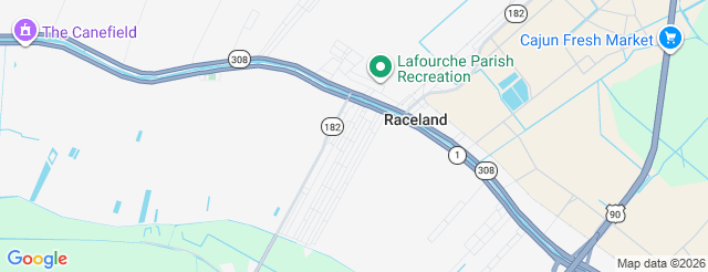 Raising Cane's River Center Theatre