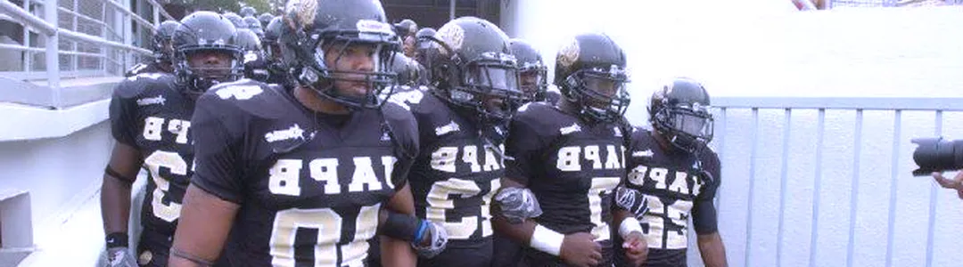 Arkansas-Pine Bluff Golden Lions