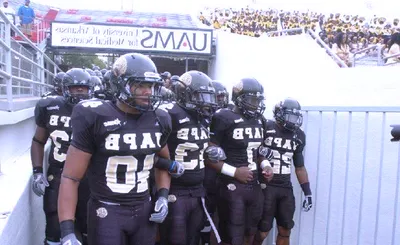 Arkansas-Pine Bluff Golden Lions