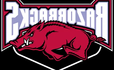 Arkansas Razorbacks