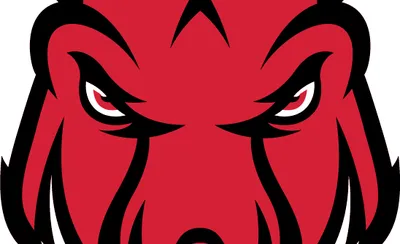 Arkansas Razorbacks