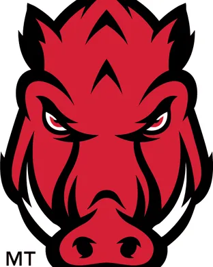 Arkansas Razorbacks vs. LSU Tigers