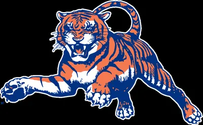 Auburn Tigers