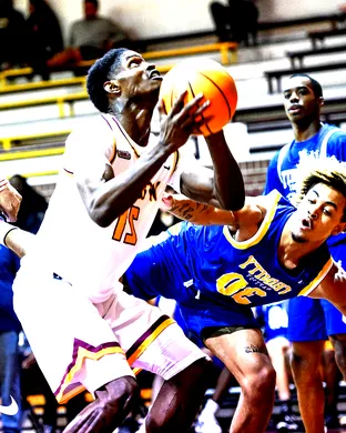Bethune-Cookman Wildcats Basketball