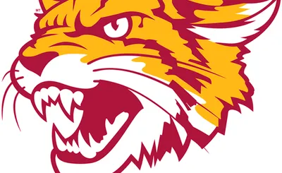 Bethune-Cookman Wildcats
