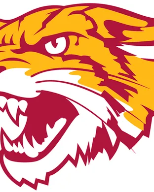 Bethune-Cookman Wildcats