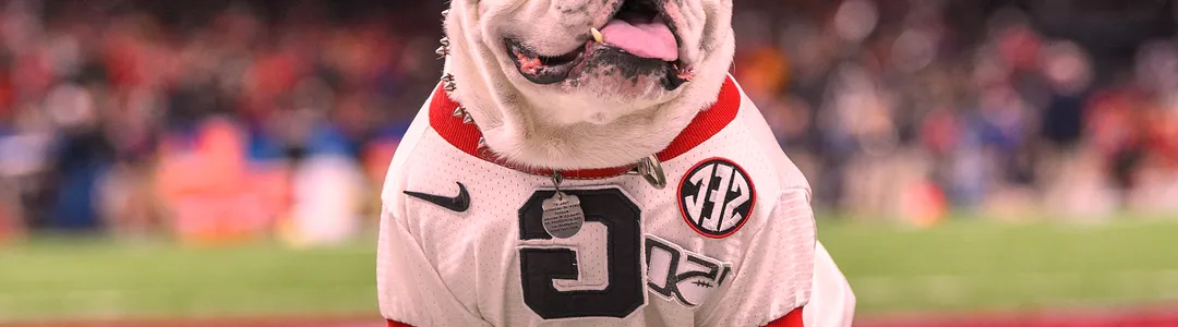 Georgia Bulldogs