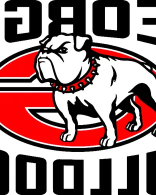 Georgia Bulldogs vs. LSU Tigers