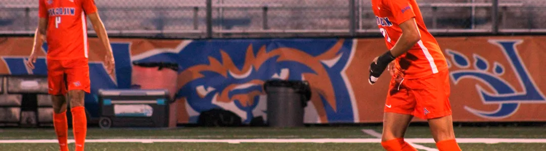 Louisiana Christian Wildcats