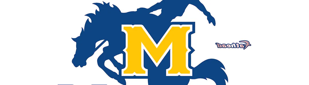 McNeese State Cowboys