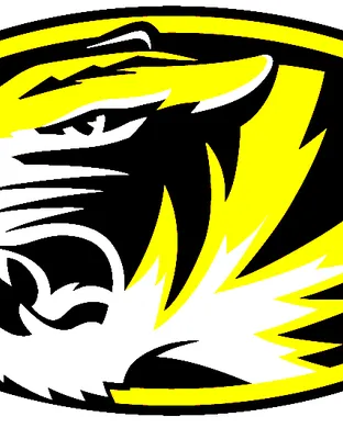 Missouri Tigers vs. LSU Tigers