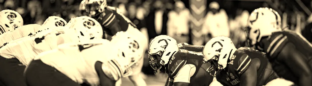 South Carolina Gamecocks