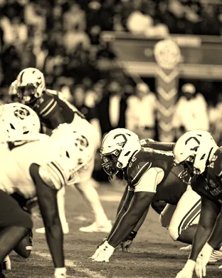 South Carolina Gamecocks