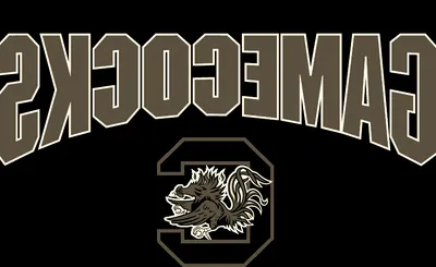 South Carolina Gamecocks