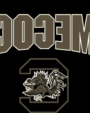 South Carolina Gamecocks