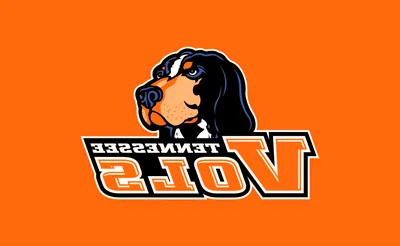 Tennessee Volunteers