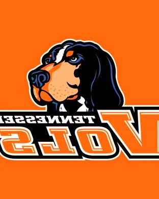 Tennessee Volunteers vs. LSU Tigers sports event