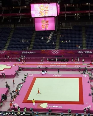 Georgia Bulldogs Women's Gymnastics