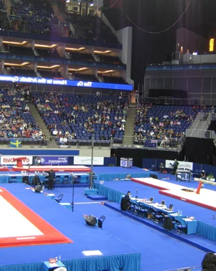 LSU Tigers Women's Gymnastics vs. Arkansas Lady Razorbacks sports event