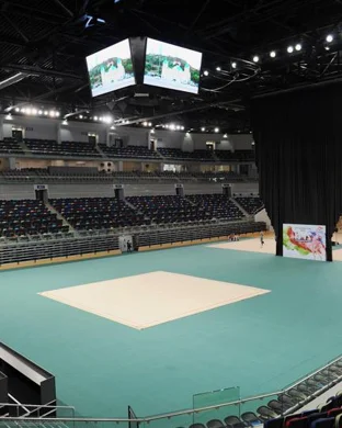 2026 LSU Tigers Football Season Tickets (Includes Tickets To All Regular Season Home Games)