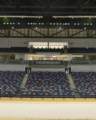 Florida Gators Gymnastics vs. LSU Tigers