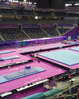 Arkansas Lady Razorbacks