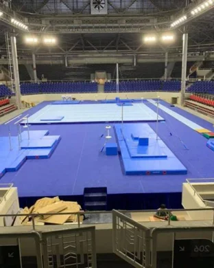 Georgia Bulldogs Women's Gymnastics vs. LSU Tigers sports event