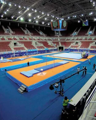 Florida Gators Gymnastics