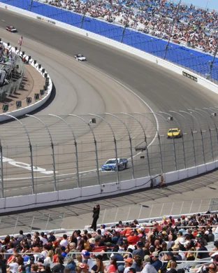 2026 LSU Tigers Football Season Tickets (Includes Tickets To All Regular Season Home Games)