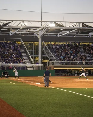 LSU Tigers Softball
