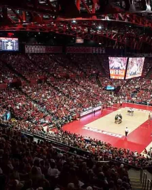 Texas A&M Aggies Women's Volleyball vs. LSU Tigers